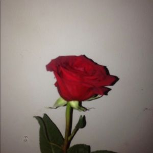 Meet your Posher, Khreszel